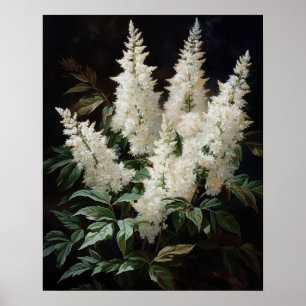 Witte Astilbe Flowers Art Print Poster