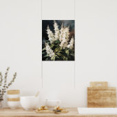 Witte Astilbe Flowers Art Print Poster (Keuken)