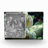 Witte azalea bloem Creëer uw eigen Fotoblokken (Voorkant)