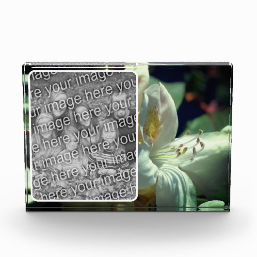 Witte azalea bloem Creëer uw eigen Fotoblokken (Voorkant)