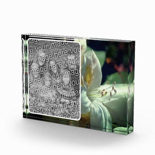 Witte azalea bloem Creëer uw eigen Fotoblokken (Rechts)