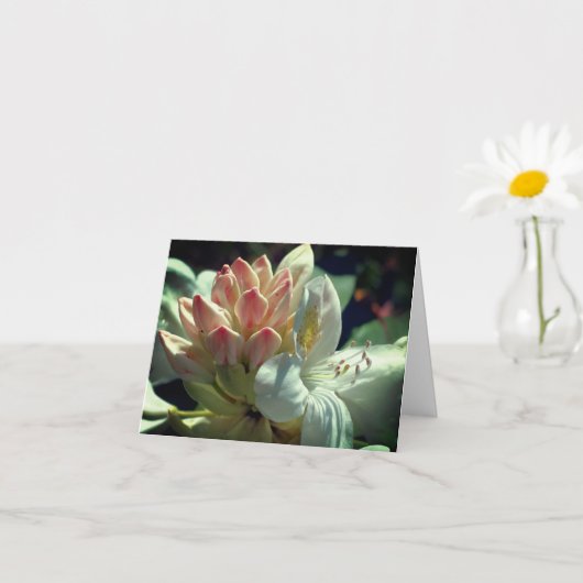 Witte Azalea bloem gepersonaliseerde notitie Kaart (Kleine Plant)