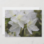witte azalea bloemen Christelijke bruiloft Kaart (Achterkant)