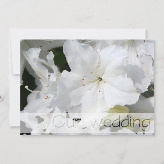 Witte Azalea Bruiloft Save the Date  Personaliseer Kaart (Voorkant)