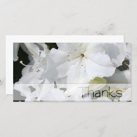 Witte Azalea Dank u fotokaart Bedankkaart (Voorkant / Achterkant)