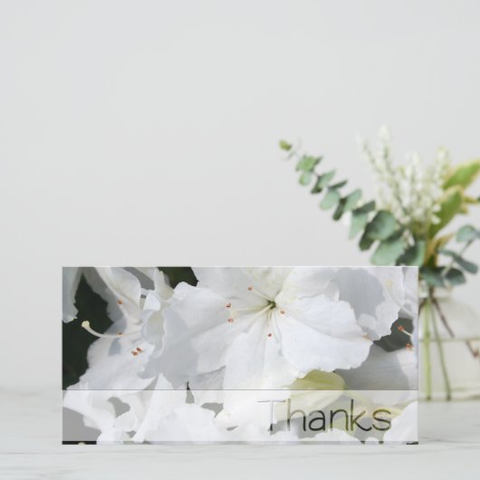 Witte Azalea Dank u fotokaart Bedankkaart (Staand voorkant)