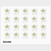 Witte azalea (moerashoning) vierkante sticker (Vel)