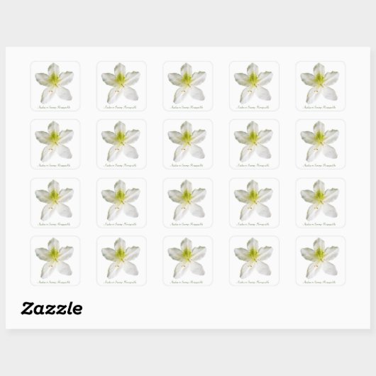 Witte azalea (moerashoning) vierkante sticker (Vel)