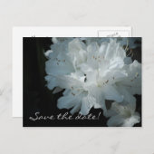 Witte Azalea's Save the Date Briefkaart (Voorkant / Achterkant)