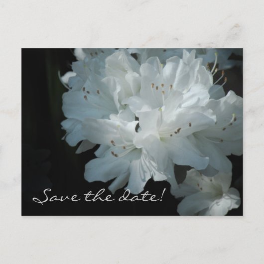 Witte Azalea's Save the Date Briefkaart (Voorkant)