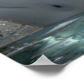 Witte Baby Beluga Poster (Hoek)