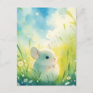 Witte Baby Chinchilla in Zonnige Groene Weide Briefkaart