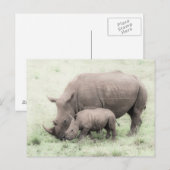 Witte Baby en Rijn Briefkaart (Voorkant / Achterkant)