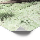 Witte Baby en Rijn Poster (Hoek)