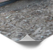 Witte Baby geit die de schuur achterlaat Poster (Hoek)