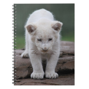 Witte baby leeuwenkub notitieboek