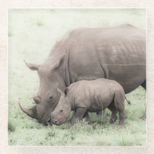 Witte Baby Onderzetters (Voorkant)