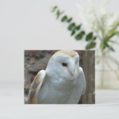 Witte Barn Owl Briefkaart (Staand voorkant)