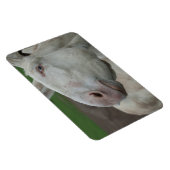 Witte Barok Ezel Magneet (Rechterzijde)