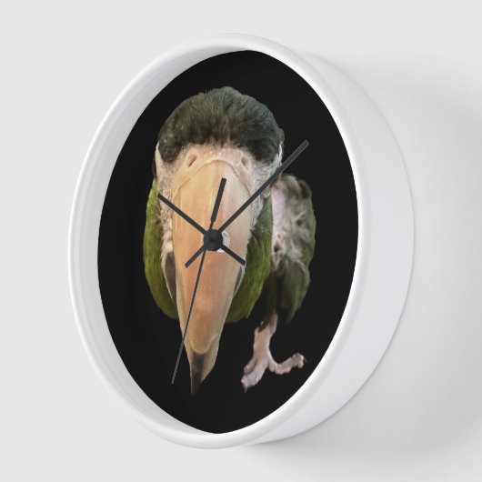 witte bedwelmingsnok (Hoek)