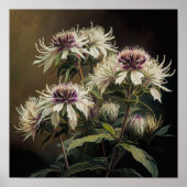 Witte Bee Balm Bloem Art Print Poster (Voorkant)