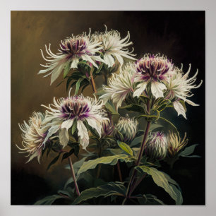 Witte Bee Balm Bloem Art Print Poster