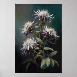 Witte Bee Balm Bloem Art Print Poster