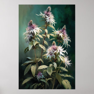 Witte Bee Balm Bloem Art Print Poster