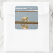 Witte Beer Vierkante Sticker (Tas)