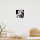 Witte Bengaalse Tijger Fotografie Poster (Keuken)