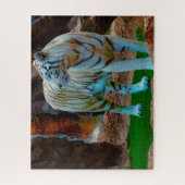 Witte Bengaalse Tijger. Grote Katachtigen. Legpuzzel (Verticaal)