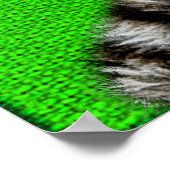 Witte Bengaalse tijger: harige bodem op groen Poster (Hoek)