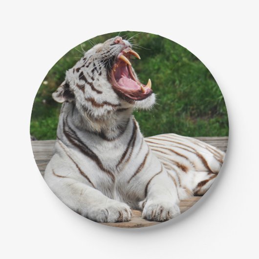 Witte Bengaalse Tijger Papieren Bord (Voorkant)