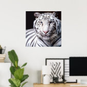 Witte Bengaalse Tijger Poster (Thuiskantoor)