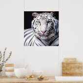 Witte Bengaalse Tijger Poster (Keuken)