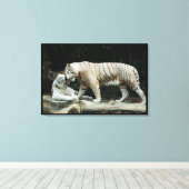 Witte Bengaalse tijger verpakt Canvas Afdruk (Insitu (Houten vloer))
