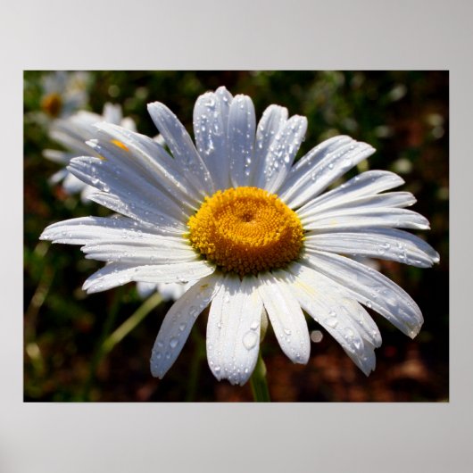 Witte benzine poster (Voorkant)