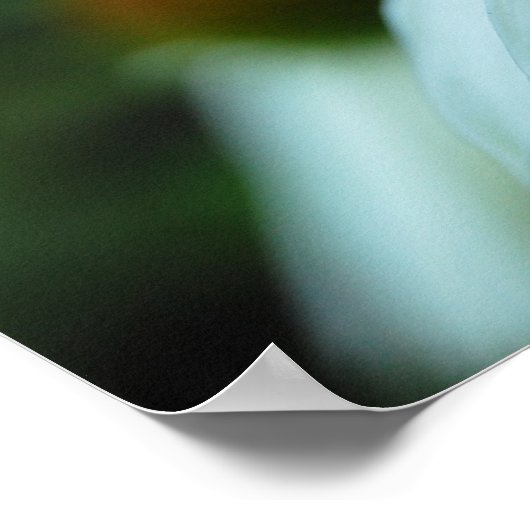 Witte benzine, ventilator (poster afdrukken) poster (Hoek)