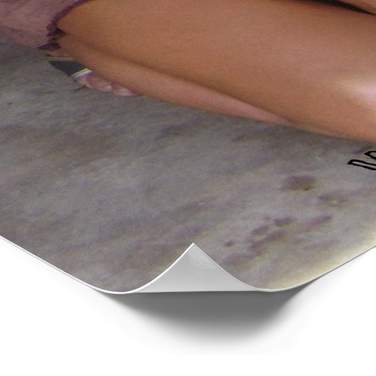 Witte beren Poster (Hoek)