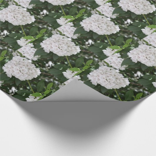 Witte Berg Laurel Bloem Cadeaupapier (Hoek)