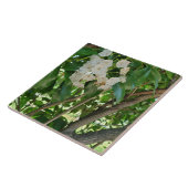 Witte Berg Laurel Shrub Branches Tegeltje (Zijkant)