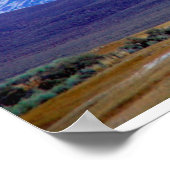 Witte bergen, Californie, Etats-Unis Poster (Hoek)