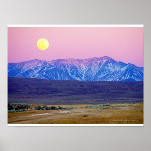 Witte bergen, Californie, Etats-Unis Poster (Voorkant)