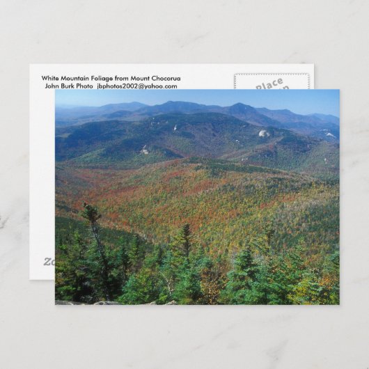 Witte bergen Chocorua-uitzicht Briefkaart (Voorkant / Achterkant)