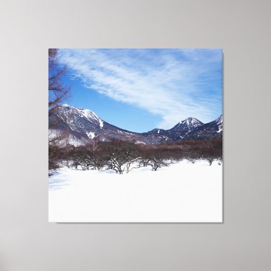 Witte bergen in de winter in Spanje Canvas Afdruk (Voorkant)