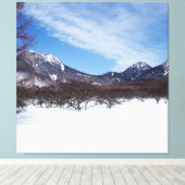 Witte bergen in de winter in Spanje Canvas Afdruk (Insitu (Houten vloer))