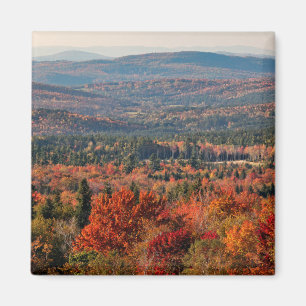 Witte Bergen Nationaal Bos   New Hampshire Magneet