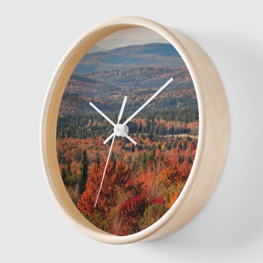 Witte bergen Nationaal Woud | New Hampshire (Hoek)