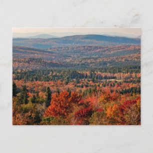 Witte bergen Nationaal Woud New Hampshire Briefkaart