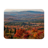 Witte bergen Nationaal Woud | New Hampshire Magneet (Horizontaal)